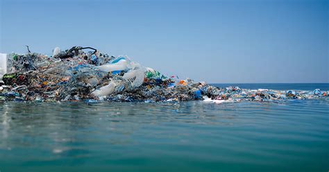 Great Pacific Garbage Patch home to dozens of marine species, study ...