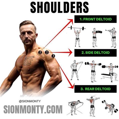 Pin by WOLFIESFIGHTERS on workout motivation | Shoulder workout, Best shoulder workout, Cardio ...