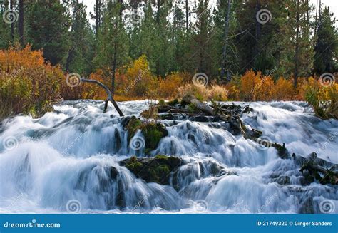 Fall River Waterfall in Autumn Stock Photo - Image of scenic, grass ...