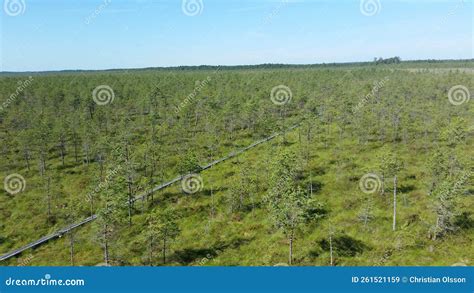 Alam-Pedja Reservaat, Largest Nature Reserve in Estonia, Aerial Stock ...