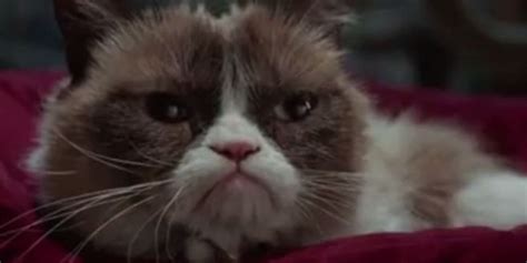 Trailer: Grumpy Cat's Worst Christmas Ever TV Movie | www.98fm.com