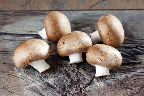 What Are Cremini Mushrooms, and How Are They Used?