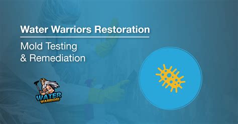 Mold Testing & Remediation | Bloomington, IN - Water Warriors Restoration