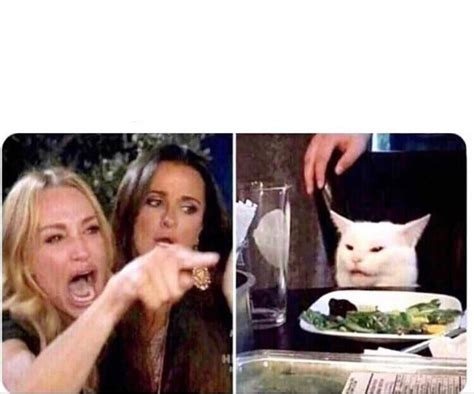 Woman Pointing At Cat Meme Template