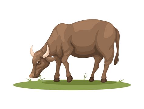 Farm Buffalo eating grass. rural animal life symbol cartoon illustration vector 15324002 Vector ...