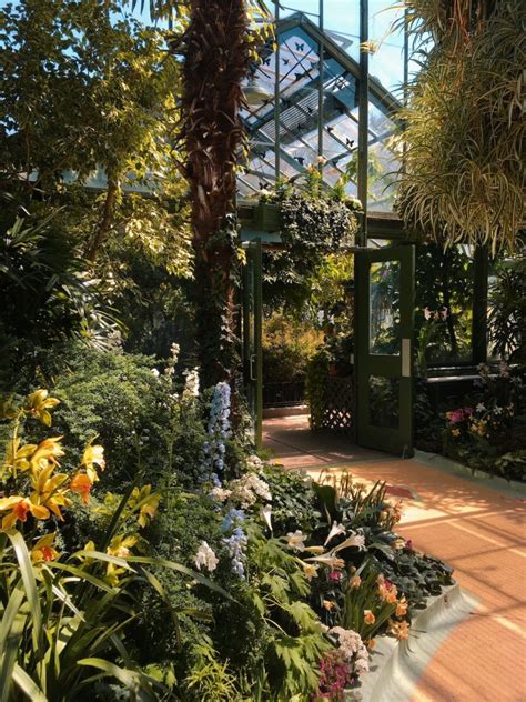 Living Inside a Greenhouse: Everything You Need to Know About the ...