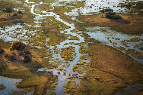 Inside the Ambitious Mission to Save Africa’s Okavango Delta