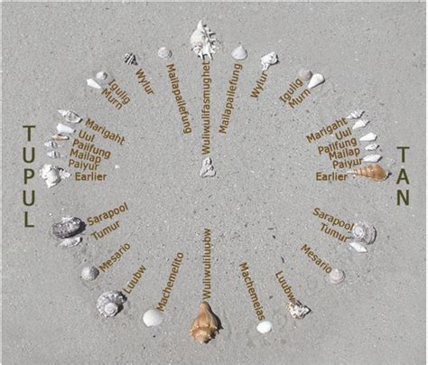 Star compass of Mau Piailug taught in the Caroline Islands, with North ...