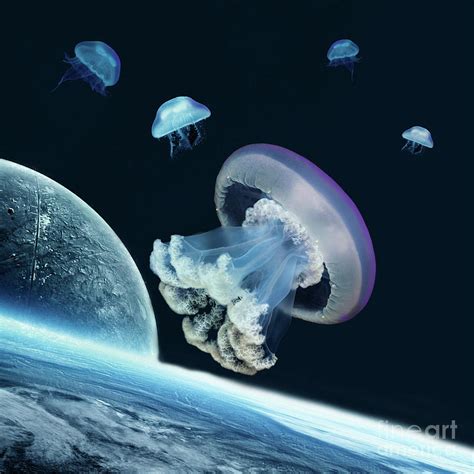 Space jellyfish Digital Art by Valentina Hramov - Fine Art America