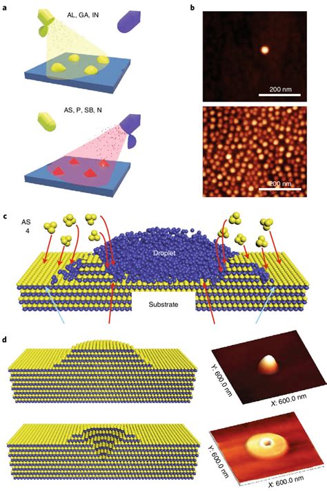 | Droplet epitaxy. a, Droplet epitaxy schematics: in a molecular beam... | Download Scientific ...