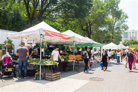 The Best Tent for Farmers Market (Top 7 Canopies for Local Markets)