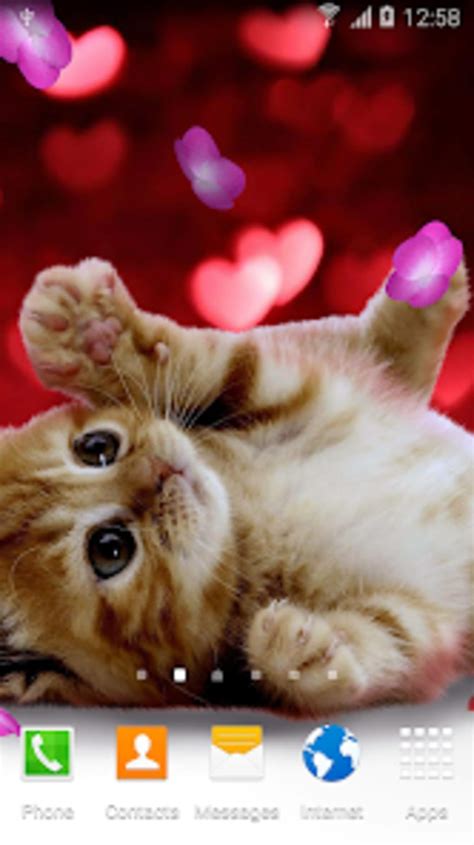 Animals Cute Live Wallpaper for Android - Download