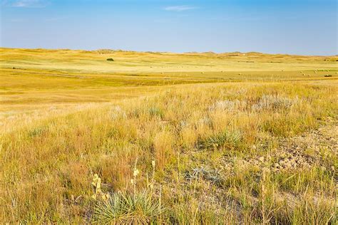 The Largest National Grasslands In The United States - WorldAtlas