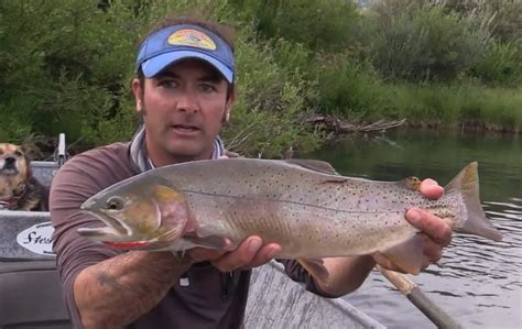 Massive Cutthroat and Cutbow Trout Video – Troutster.com – Fly Fishing Tips and Tactics