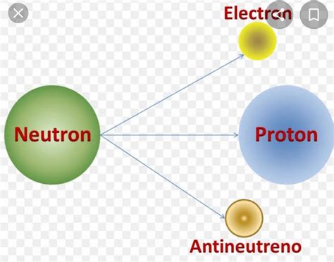 Weak nuclear force it is the force that appears only between elementary ...