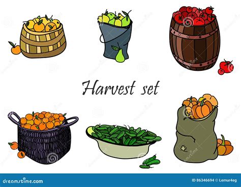 Vector Harvest Stock Illustrations – 321,819 Vector Harvest Stock Illustrations, Vectors ...