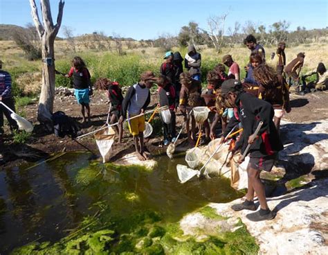 Young Aboriginal students investigate damage to desert by feral camels ...