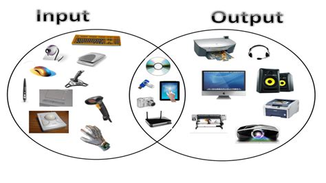 Computer Hardware Input Devices