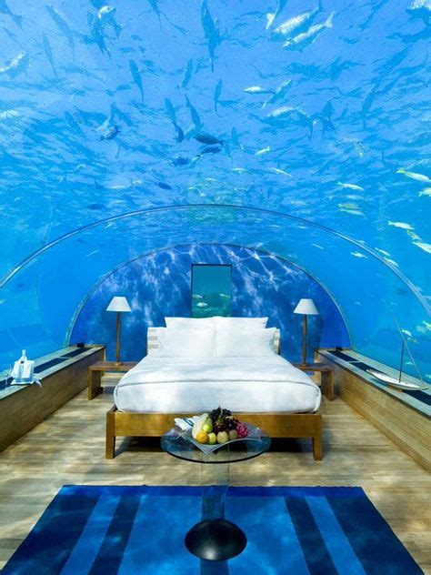 32 Underwater house ideas | underwater house, underwater hotel, underwater