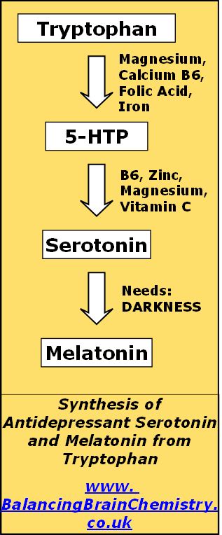 Tryptophan-&-5-HTP-Natural-Antidepressant-Remedies