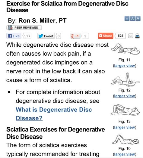 Pin on Sports/Ortho PT