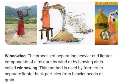 what is winnowing | EduRev Class 8 Question