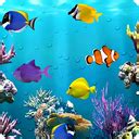 برنامه Aquarium Fish Live Wallpaper - دانلود | بازار