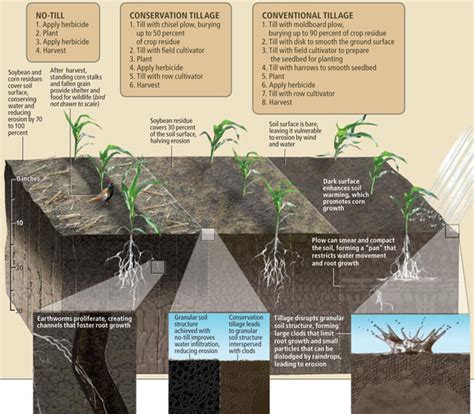 domestication and climate: Tillage??