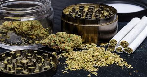 7 Best Weed Grinders Reviews & Buying Guidelines