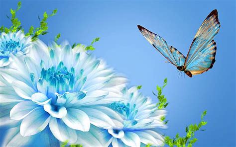 A Flower & a Butterfly, beauty, flowers, nature, butterfly, HD ...