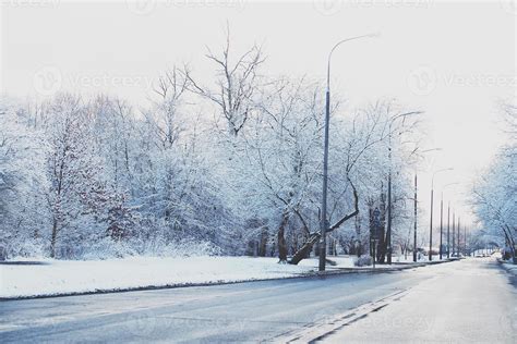 winter landscape with fresh snow and trees 22916820 Stock Photo at Vecteezy