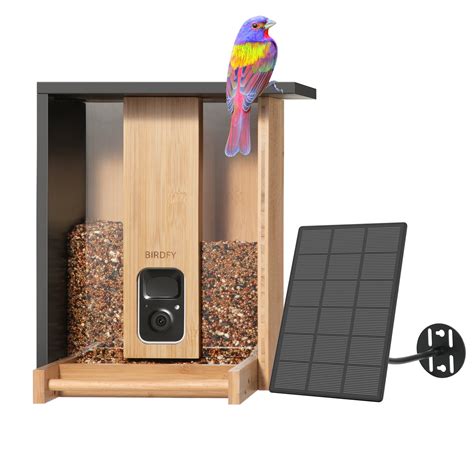 Bird Feeder with Camera, Netvue Birdfy Upgrade Smart Feeder Bamboo Ideal Gift for Bird Lover ...