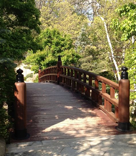 Garden of Reflection: Bridges in Japanese Gardens