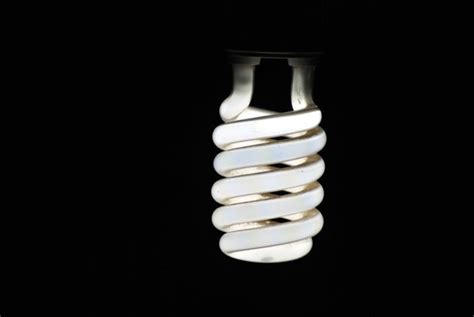 CFL Bulb Free Stock Photo - Public Domain Pictures