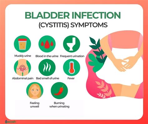 BLADDER INFECTION (CYSTITIS) - Symptoms, Causes and Natural Remedies for Bladder Infection ...