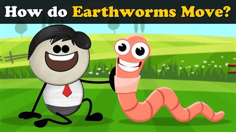 How do Earthworms Move? + more videos | #aumsum #kids #science #education #children - YouTube