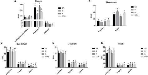 Frontiers | Effect of Alfalfa Hay and Starter Feeding Intervention on Gastrointestinal Microbial ...