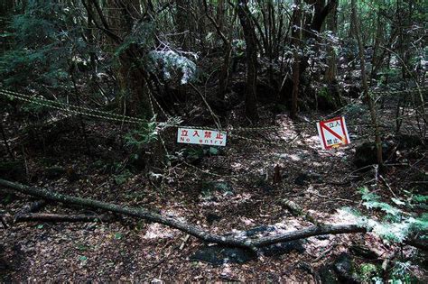 Aokigahara: Japan's Infamous 'Suicide Forest' - Urban Ghosts Media