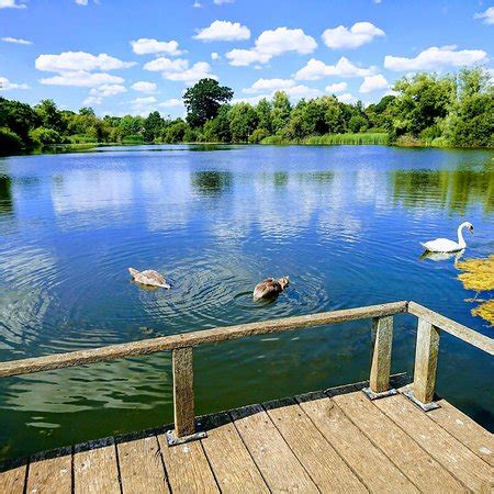 Moors Valley Country Park and Forest (Ringwood) - 2019 All You Need to ...