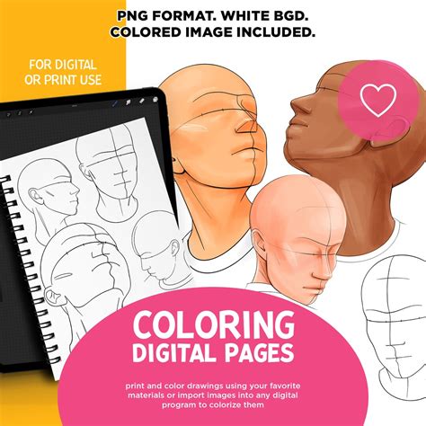 Head Shapes Coloring, Coloring Pages, Coloring Book, Procreate Coloring, Digital Coloring, Face ...