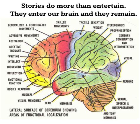 Concept Map Of The Brain - United States Map