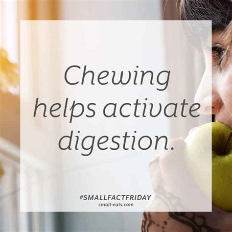 Small Fact Friday: Chewing and Digestion – small eats