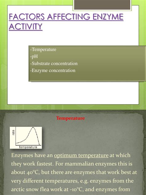 Factors Affecting Enzyme Activity | Active Site | Enzyme