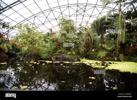 The lake in Masoala Rainforest replica of Madagascan rainforest in Zurich Zoo Stock Photo - Alamy