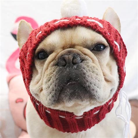 Knitted Snood Hat for French Bulldogs | Pet Beanies Hat | Dog Snood – Frenchiely