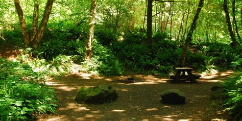 Jones Creek Campground - Tillamook State Forest - camping in Oregon