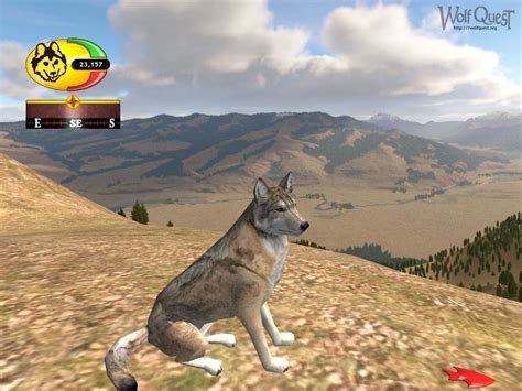 Wolf Quest - Free Multiplayer Online Games