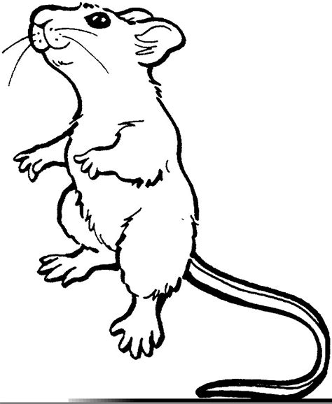 Rats Clipart | Free Images at Clker.com - vector clip art online, royalty free & public domain