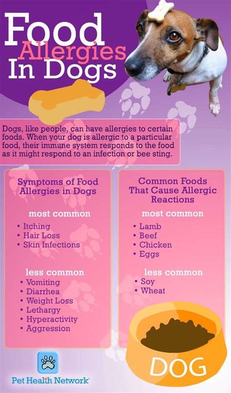 Food Alergies In Dogs 😦💥💥💥 | Dog allergies, Healthy dogs, Dog food recipes