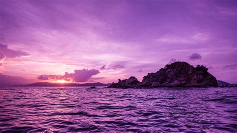 Pelican Island at Sunset, HD Nature, 4k Wallpapers, Images, Backgrounds, Photos and Pictures